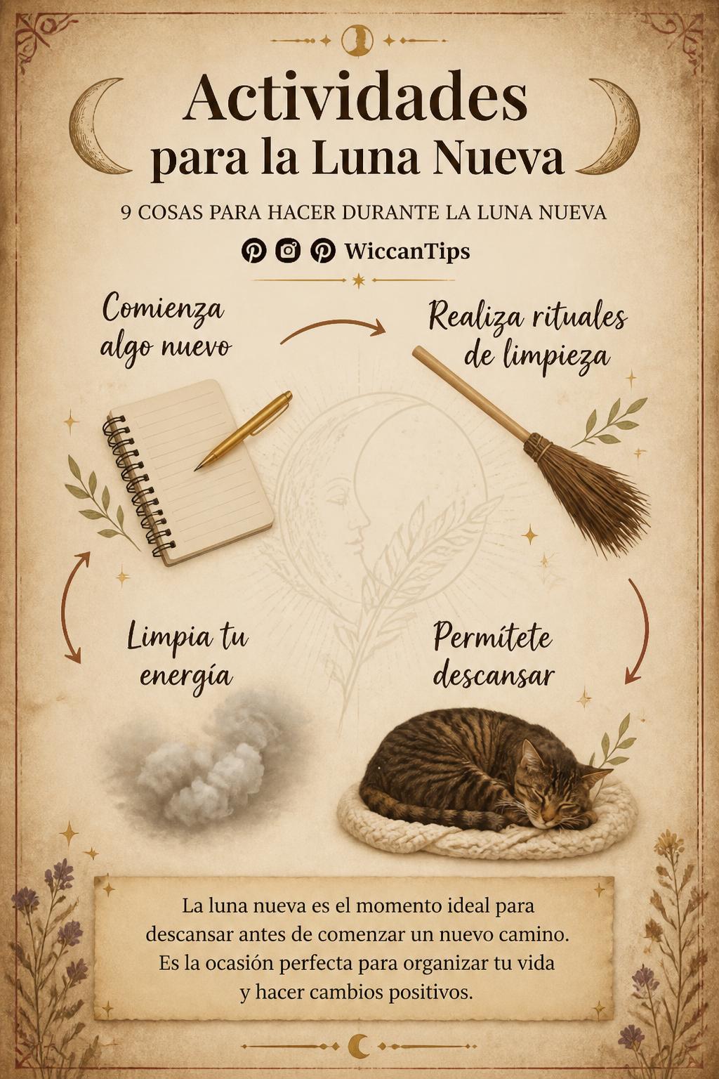 Actividades para la Luna Nueva
