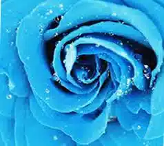 Sorts de Magie Bleue