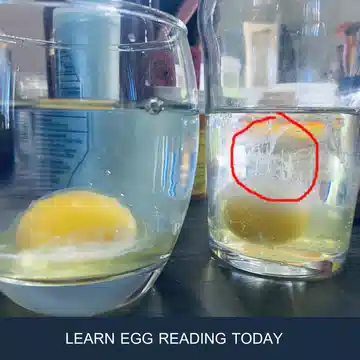 Cleanse with egg: interpretation and meaning 2020