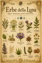 Erbe della Luna