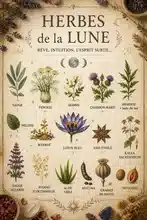 Herbes de la Lune