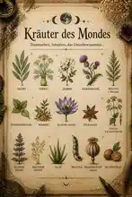 Kräuter des Mondes