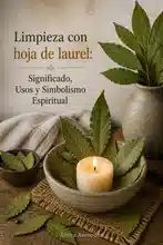Limpieza con hoja de laurel: Significado, Usos y Simbolismo Espiritual