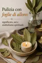 Pulizia con foglie di alloro: significato, usi e simbolismo spirituale