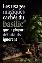 La Magie du Basilic pour Débutants : Signification, Usages et Rituels Simples