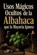 Magia con Albahaca para Principiantes: Significado, Usos y Rituales Simples