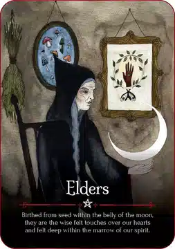 Seasons of the Witch : Samhain Oracle : Exploitez la Puissance Intuitive de la Nuit la Plus Magique de l’Année (44 Cartes en Couleur et Guide de 180 Pages)