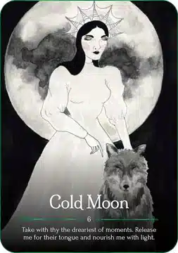 Seasons of the Witch: Yule Oracle: 44 gilded cards and 144-page book