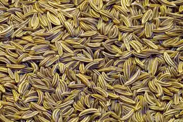 Le pouvoir magique du cumin