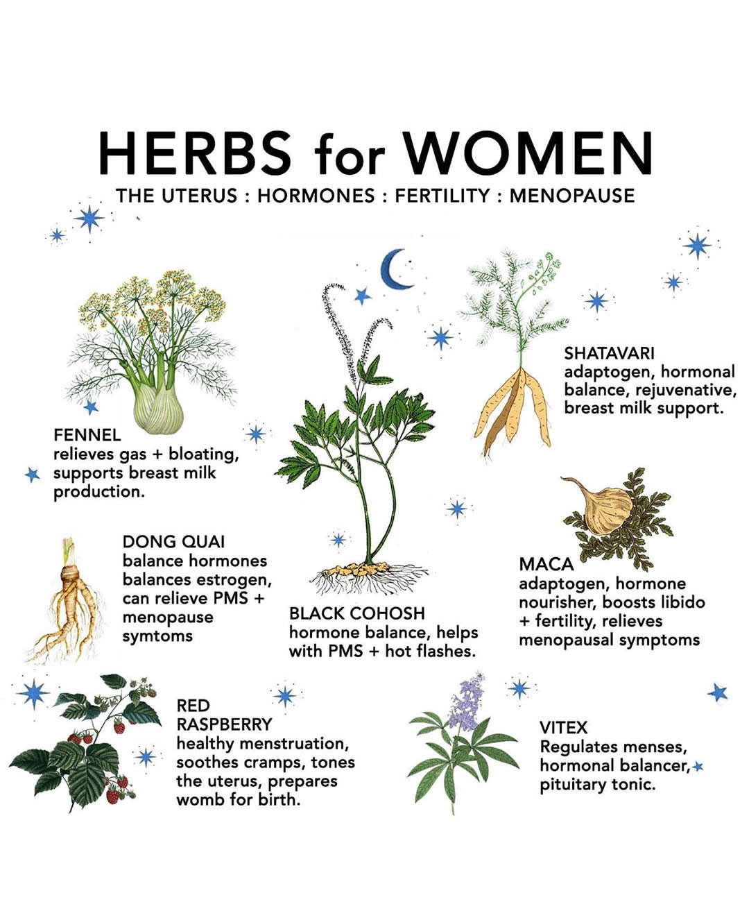 Herbs For Women