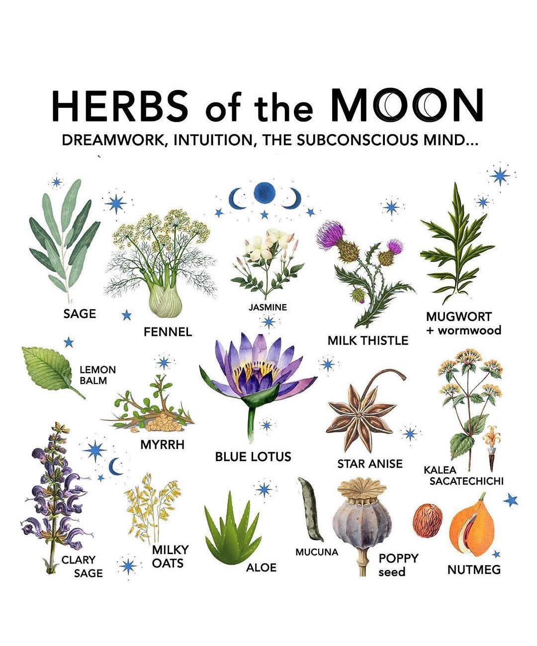 Herbs Of The Moon