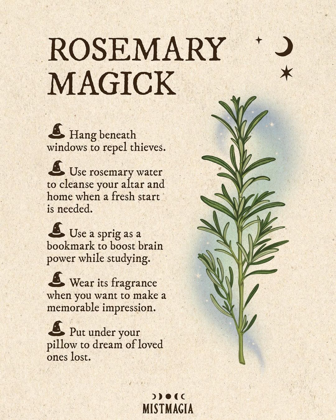 Properties of Herbs