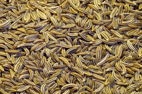 The magical power of cumin